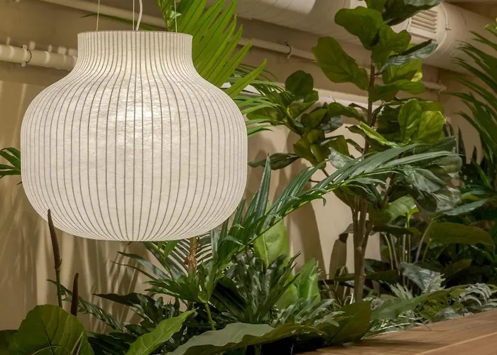 The Usual 4* רוטרדם